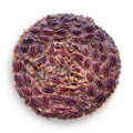 Chocolate Pecan Pie